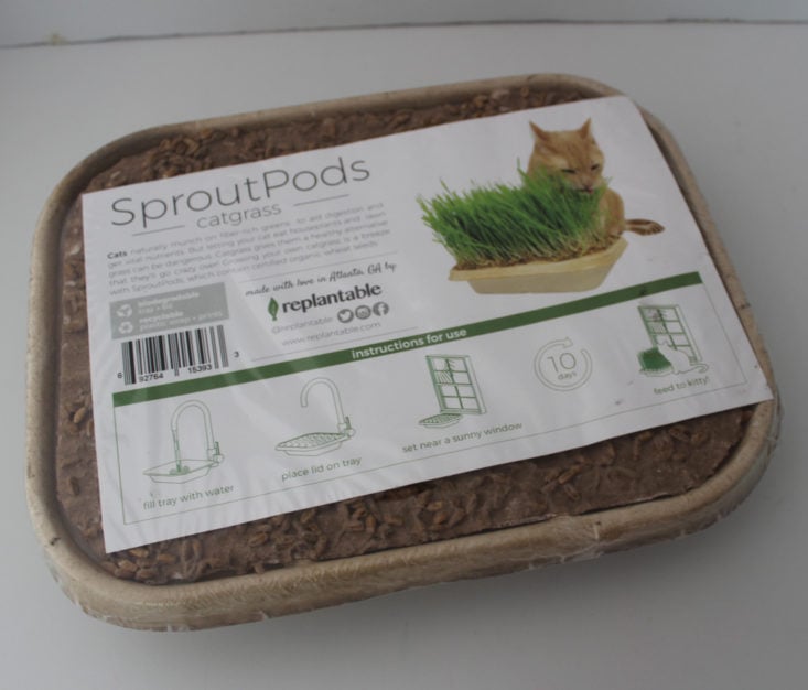 Pet Treater Cat April 2019 - Sprout Pods Cat Grass Top
