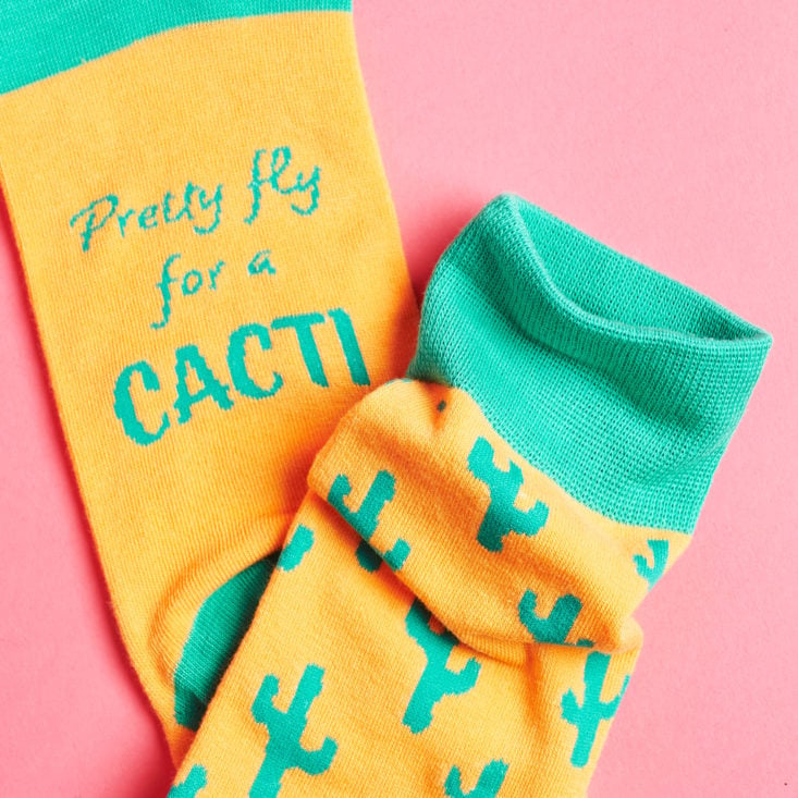 Say It With A Sock Mens April 2019 pretty fly for a cacti saying on sock
