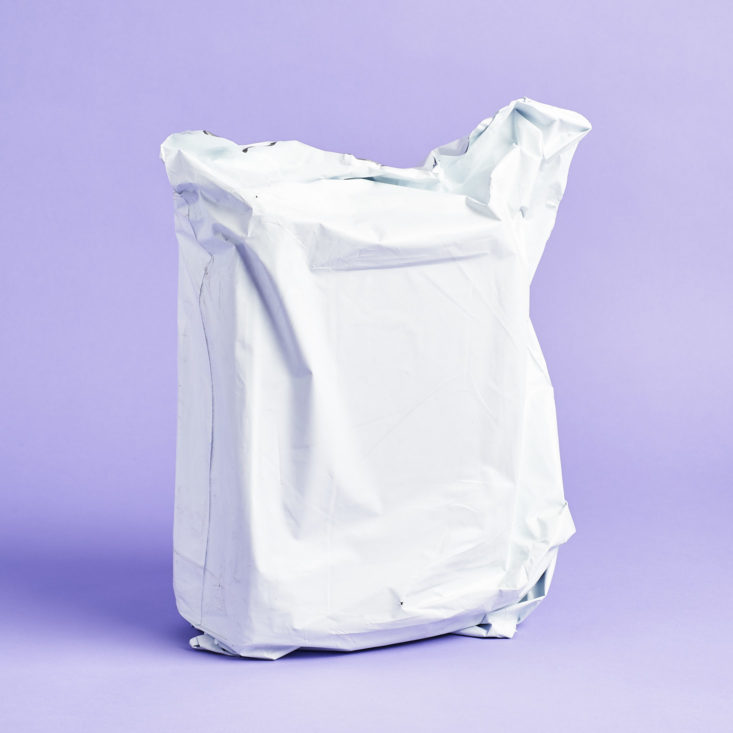 ShoeDazzle April 2019 package