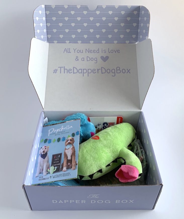 The Dapper Dog April 2019 - Open Box