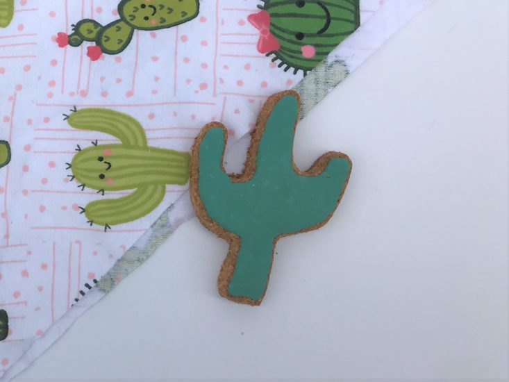 Mini Monthly Mystery Box For Dogs May 2019 - Emmy’s Gourmet Canine Creations Cactus Cookie And Bandana Top