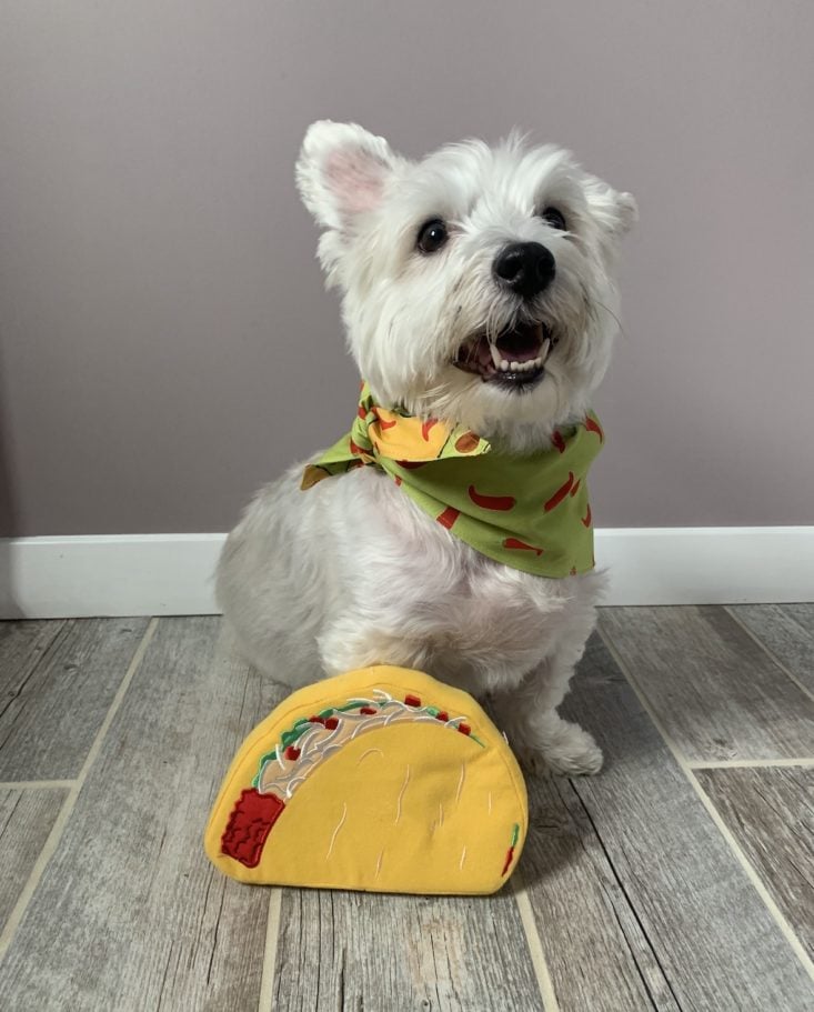 The Dapper Dog Box Review May 2019 - Pridebites Taco Toy 3 Front