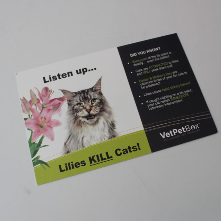 Vet Pet Box Cat Version Review May 2019 - Lilies Card Top