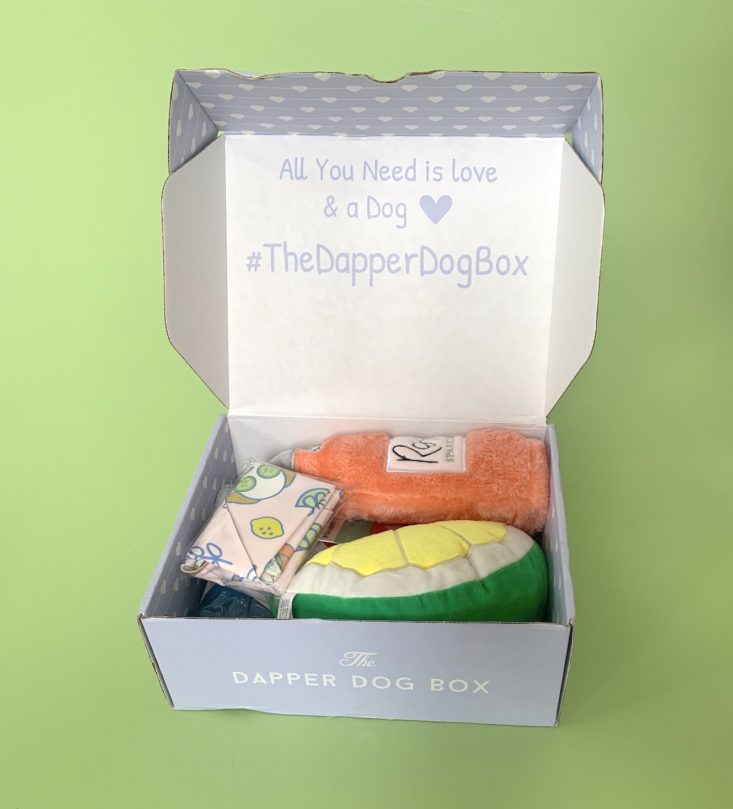 June 2019 Dapper Dog Box - OpenBox