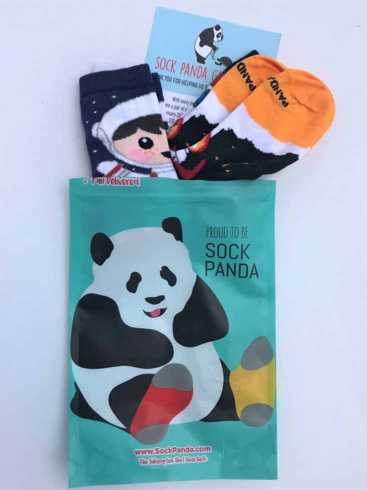 Panda Pals Socks June 2019 - Opened Socks With Package Front