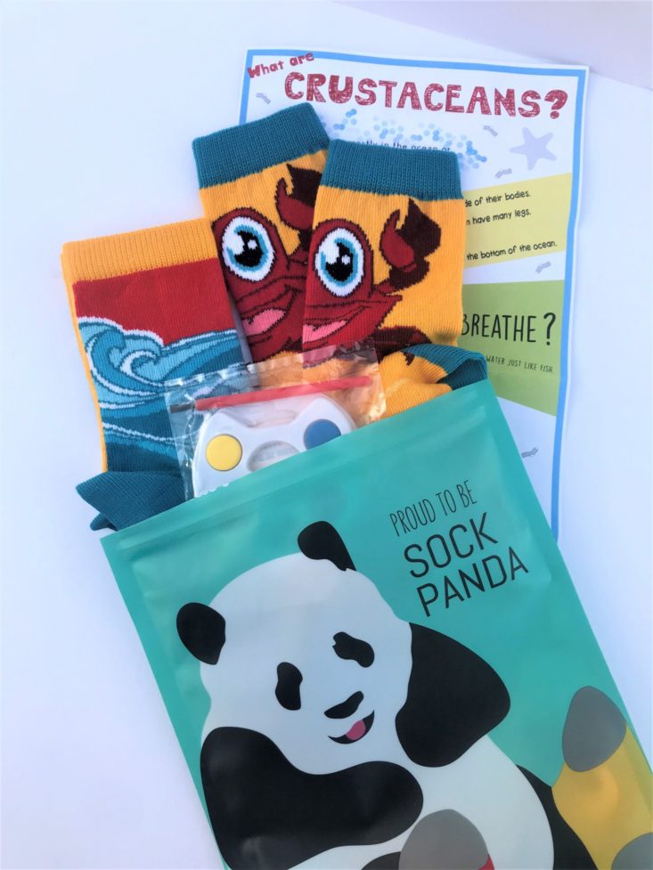 Panda Pals July 2019 - Opened Socks With Package