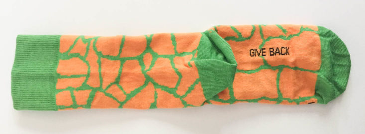 Sock Panda Men May 2019 - Giraffe Print Socks 5