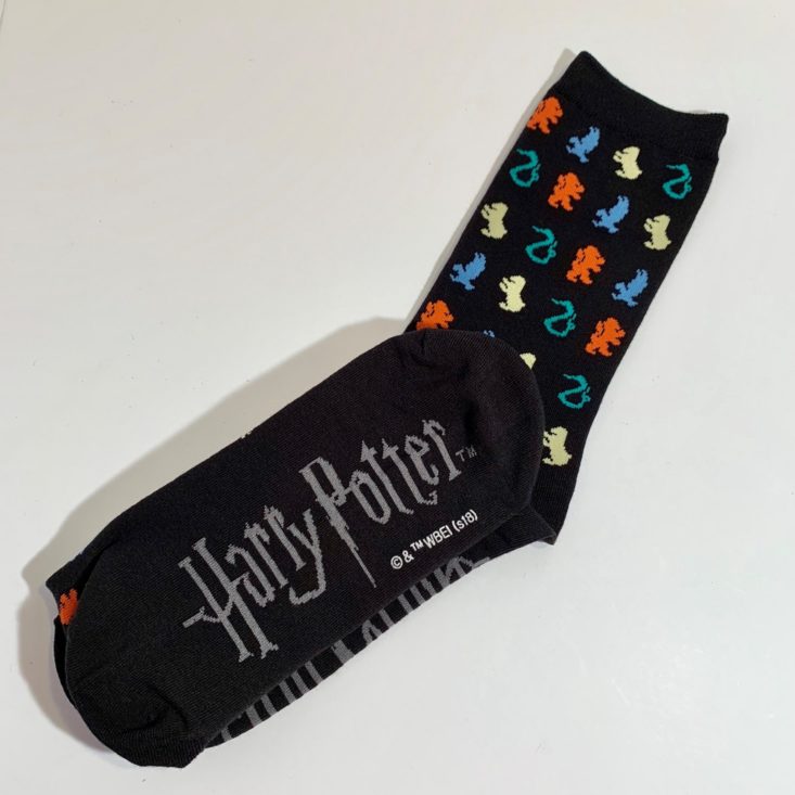 Unplugged Book Box May 2019 - Out of Print Harry Potter Hogwarts House Socks 5