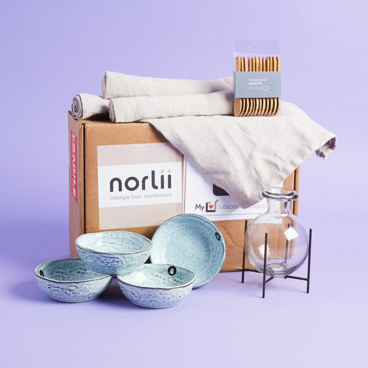 All included items surrounding Norlii box