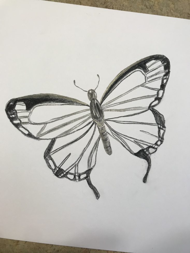Paletteful Packs August 2019 -Pencil Sketch Butterfly Complete