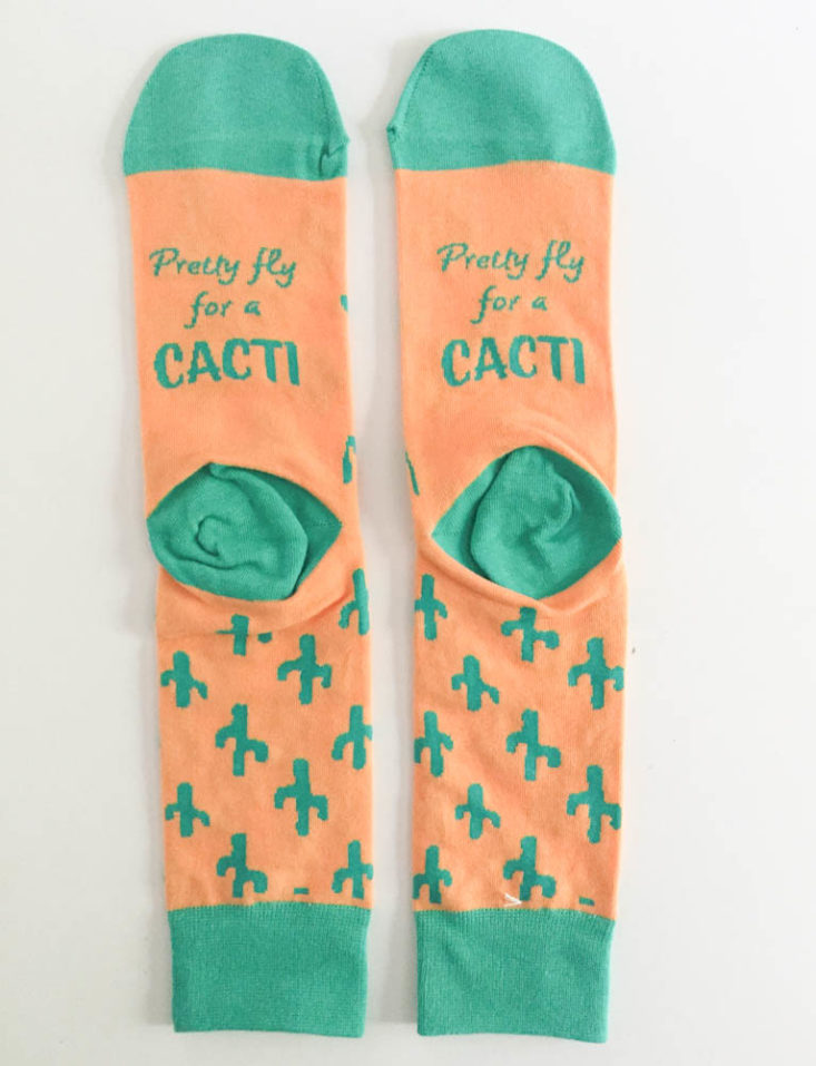 Say It With A Sock Men’s Two Pair July 2019 - Cactus Back Top