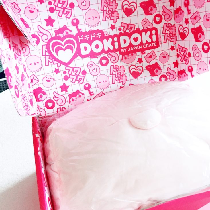 Doki Doki July 2019 - Box Opened Top