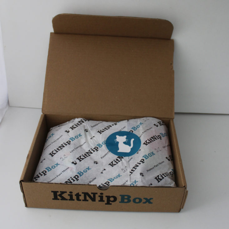 Kitnipbox Review September 2019 - Box Opened Top