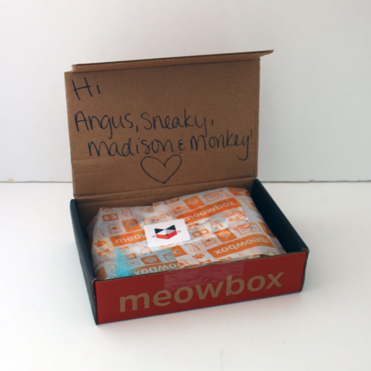 Meowbox September 2019 - Box Inside Top