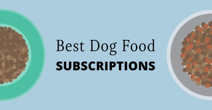 best dog food subscriptions header card