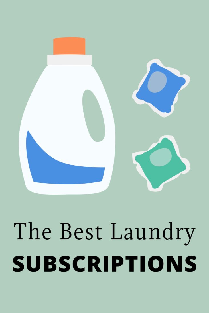 the best laundry detergent subscriptions pinterest image
