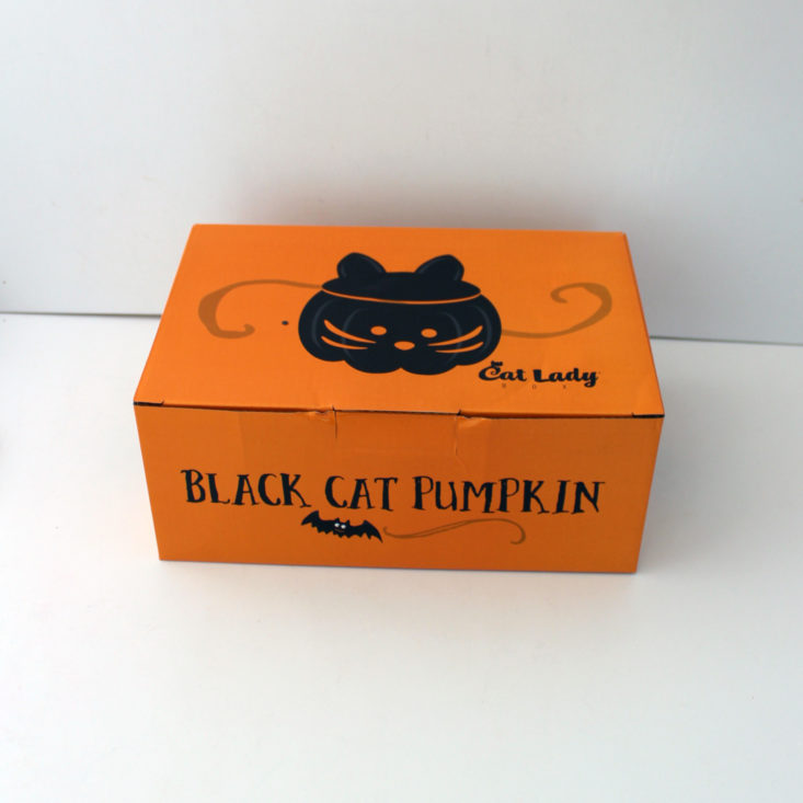 Cat Lady Box October 2019 Pumpkin 1