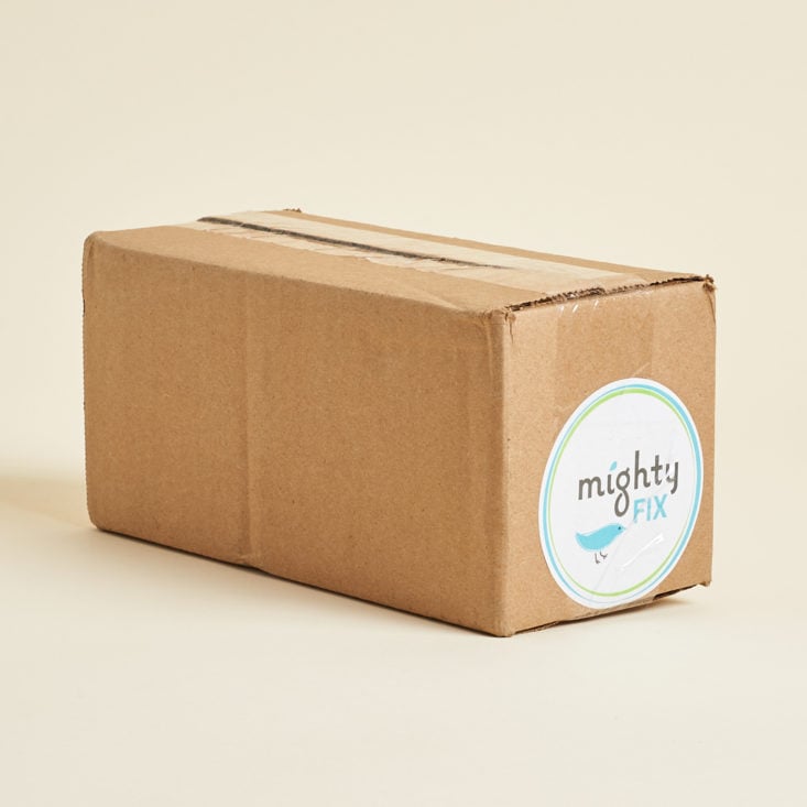 Mighty Nest October 2019 subscription box review