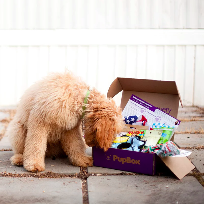 puppy subscription box uk
