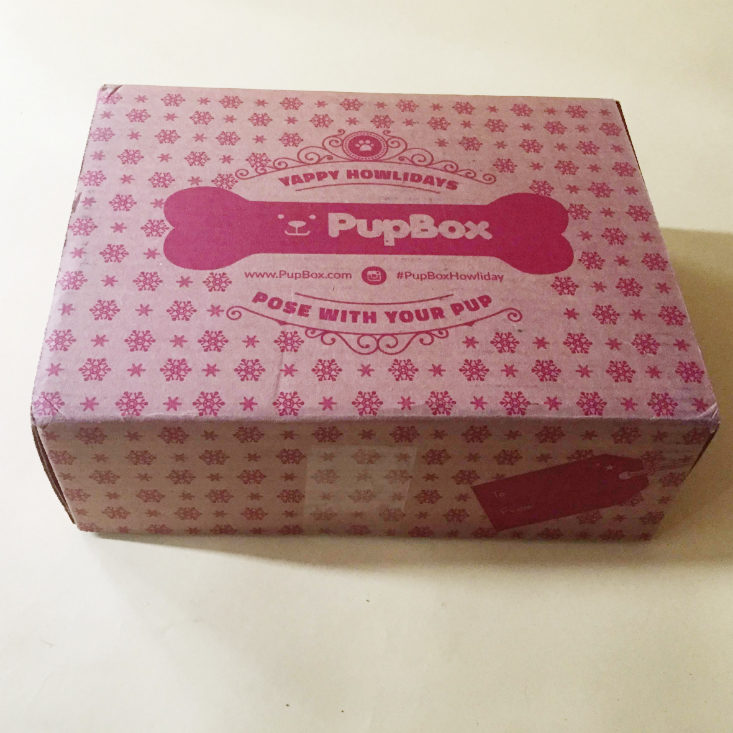 PupBox November 2019 Box Bottom